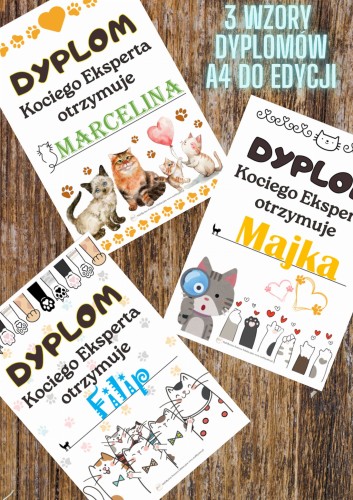 Dzień  kota DYPLOM  (1).jpg