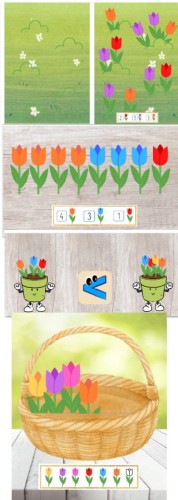 Matematyczne-tulipany_[150]_780.jpg