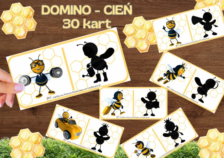 DOMINO- CIENIE dzien pszczoly.jpg
