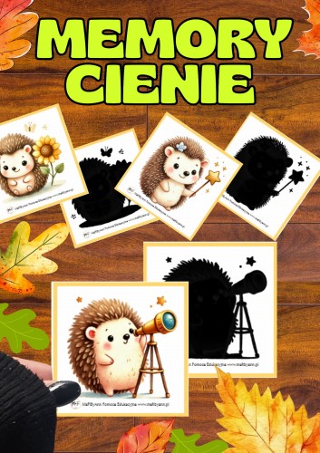 MEMORY  CIENIE dzień jeża.jpg