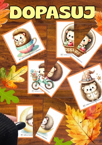 DOPASUJ dzien jeża połówki.jpg