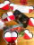 2_.png