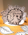 IMG_1563.png
