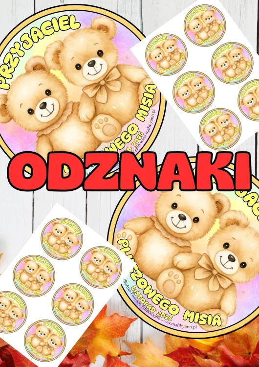 odznaki dzień MISIA.jpg
