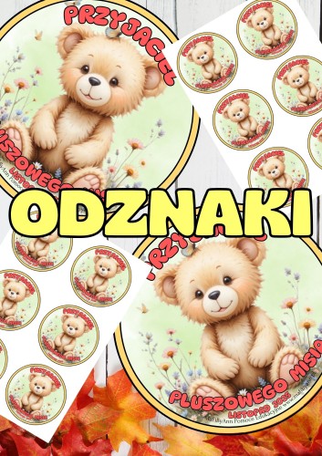 odznaki dzień MISIA (2).jpg
