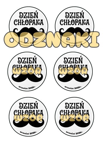 DZIEŃ CHŁOPAKA odznaka3.jpg