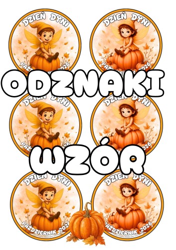 _odznaki2 dzień DYNI 26_.jpg