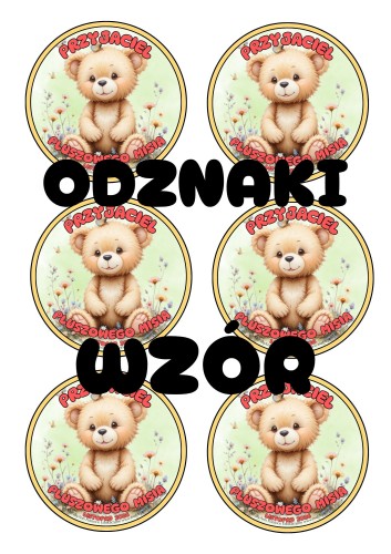odznaki dzień MISIA (3).jpg
