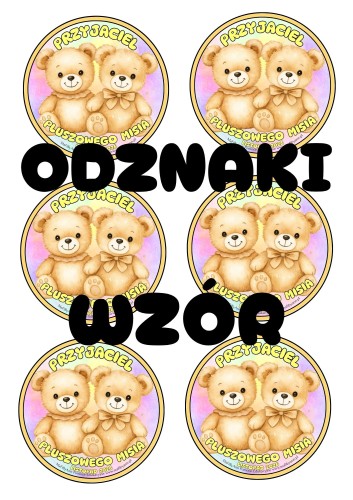 odznaki dzień MISIA (4).jpg