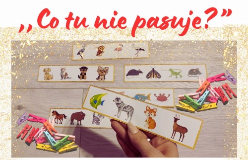 ,,Co tu nie pasuje”.jpg