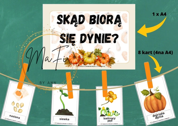 Dzień DYNI - .jpg