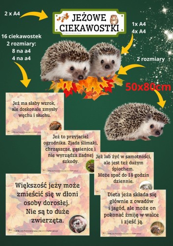 JEŻ-ciekawostki sklep1.jpg