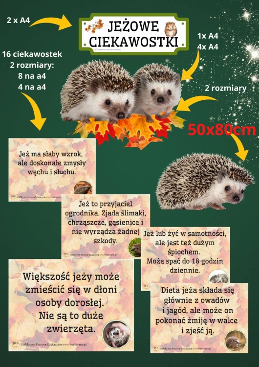 JEŻ-ciekawostki sklep1.jpg