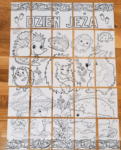jeż1.jpg