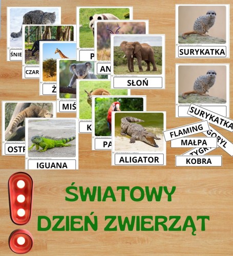 ŚWIATOWY DZIEŃ ZWIERZĄT-podgląd.jpg