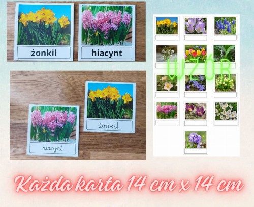 Każda karta 14 cm x 14 cm.jpg