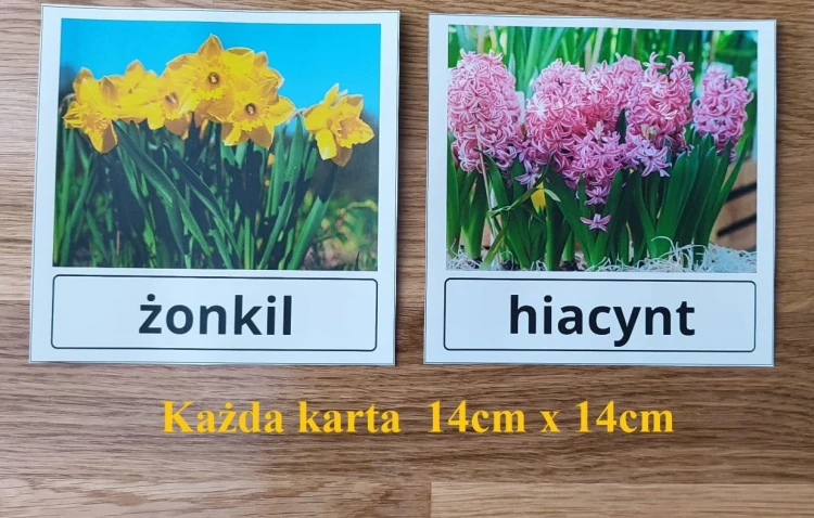 1674125813380.jpg