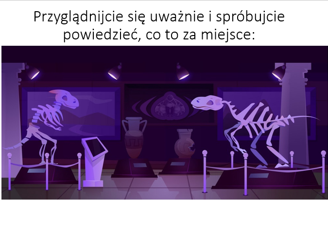 zdj.png